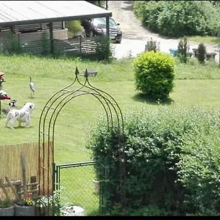 Ferienwohnung - Gruene Oase ชตอคคาค ภายนอก รูปภาพ